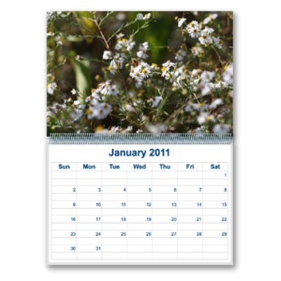 Calendars - Customizable, Wall